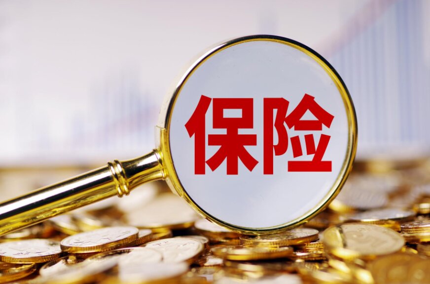 ���ֵ�һ���籣����������