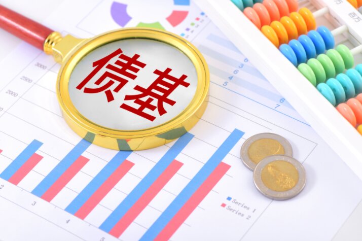 ����ծ����Ѫ��������ծ�����ţ���ģ����������