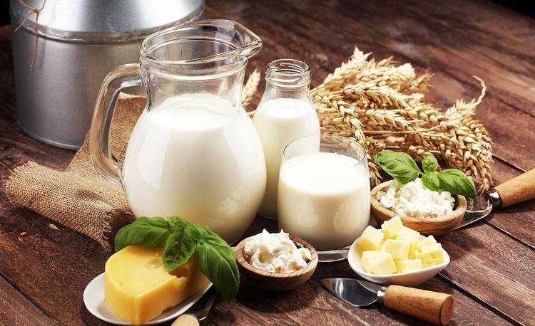 “2025年度十大营养热词”发布,与你的健康生活相关