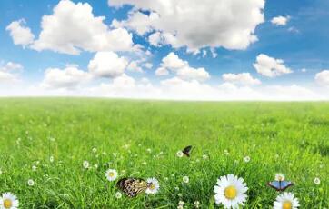 �����УЯ�ִ����Ϻ���ɣ�Ƶ����ѧԺ