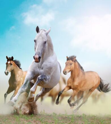 ������Я�� ��Լ��ԭ�� 2023���ױ����������ò�Ʒ�ƽ�����