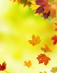 �ຣ���ϣ�12ͷ��ţ����̶ ���������Сʱ�ȳ�