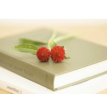 һ�������顱����������ע��쭣�