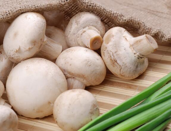 5��ʳ����˲����ֻ���������֪��̫��ϧ