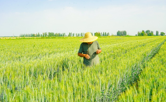 ȫﶬֽӽβ ؾ׼ʩߴ׳